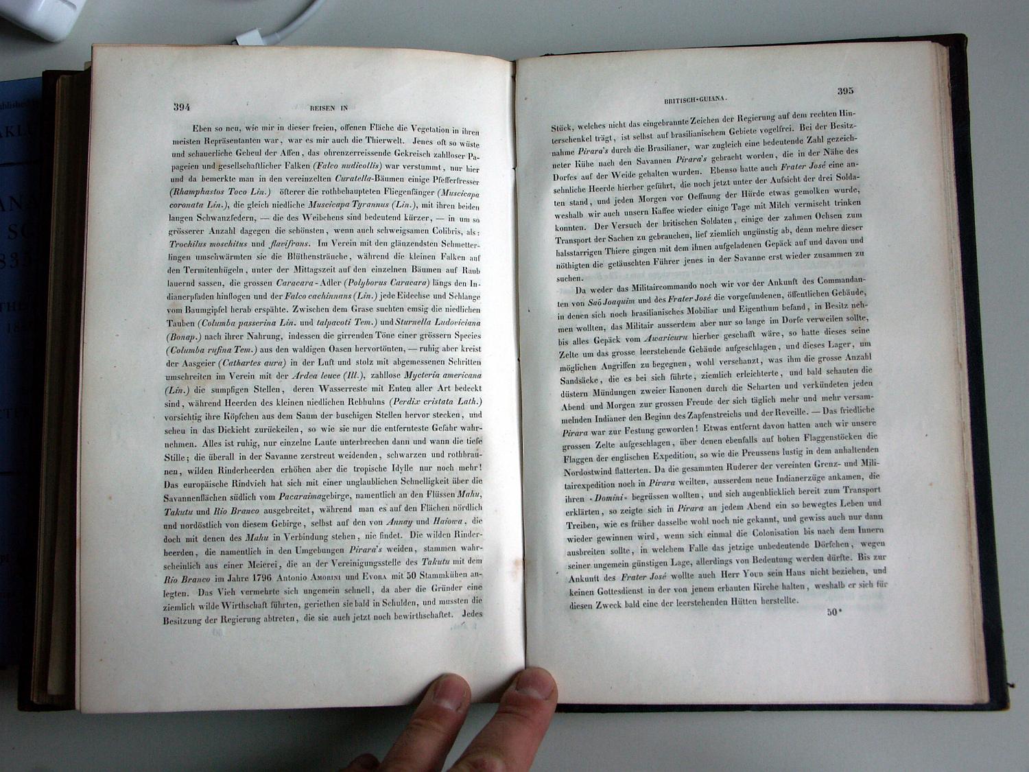 ZZ-RISC47,S.394 Diverse Vögel Umgebung Pirara